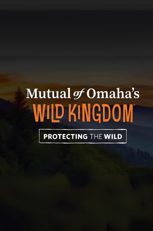 Mutual of Omaha - Wild Kingdom